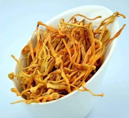 干虫草花