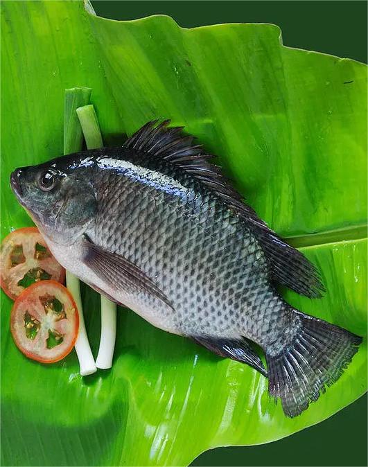 春天的衣食住行早春