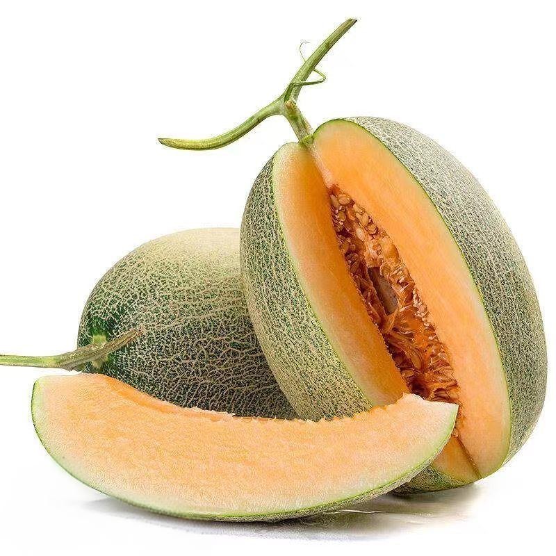 春季饮食调养 多吃些蔬菜更健康早春