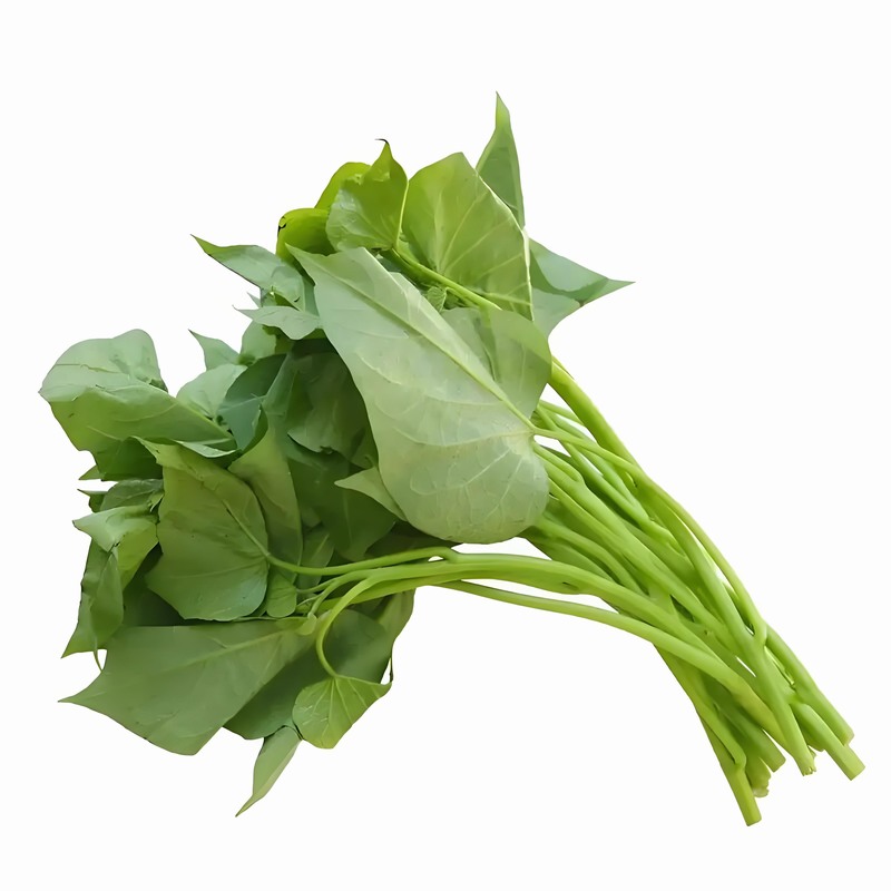 春分时节：减衣不宜过早起居应晚睡早起早春