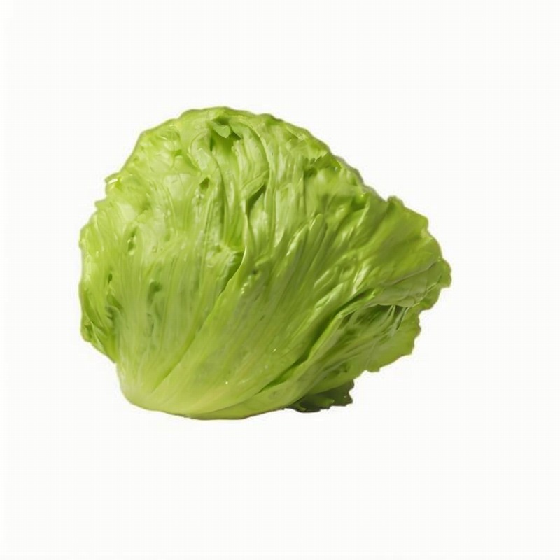 西生菜