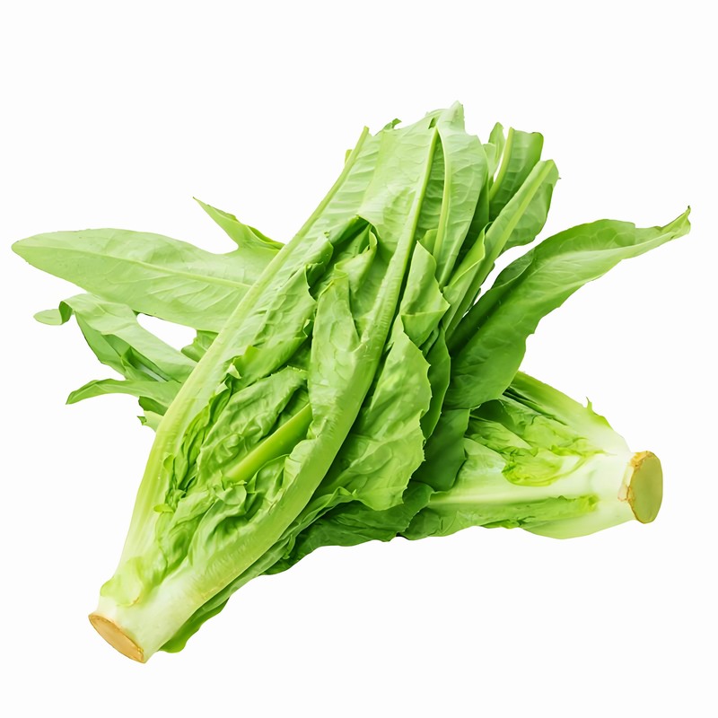 油麦菜