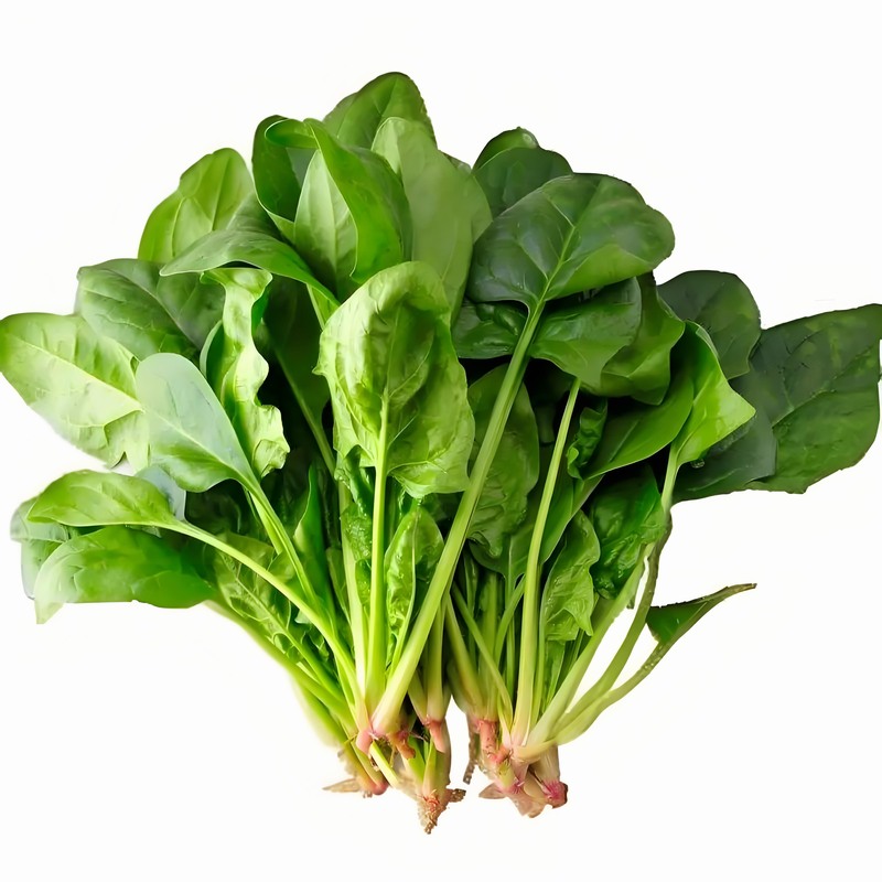 菠菜