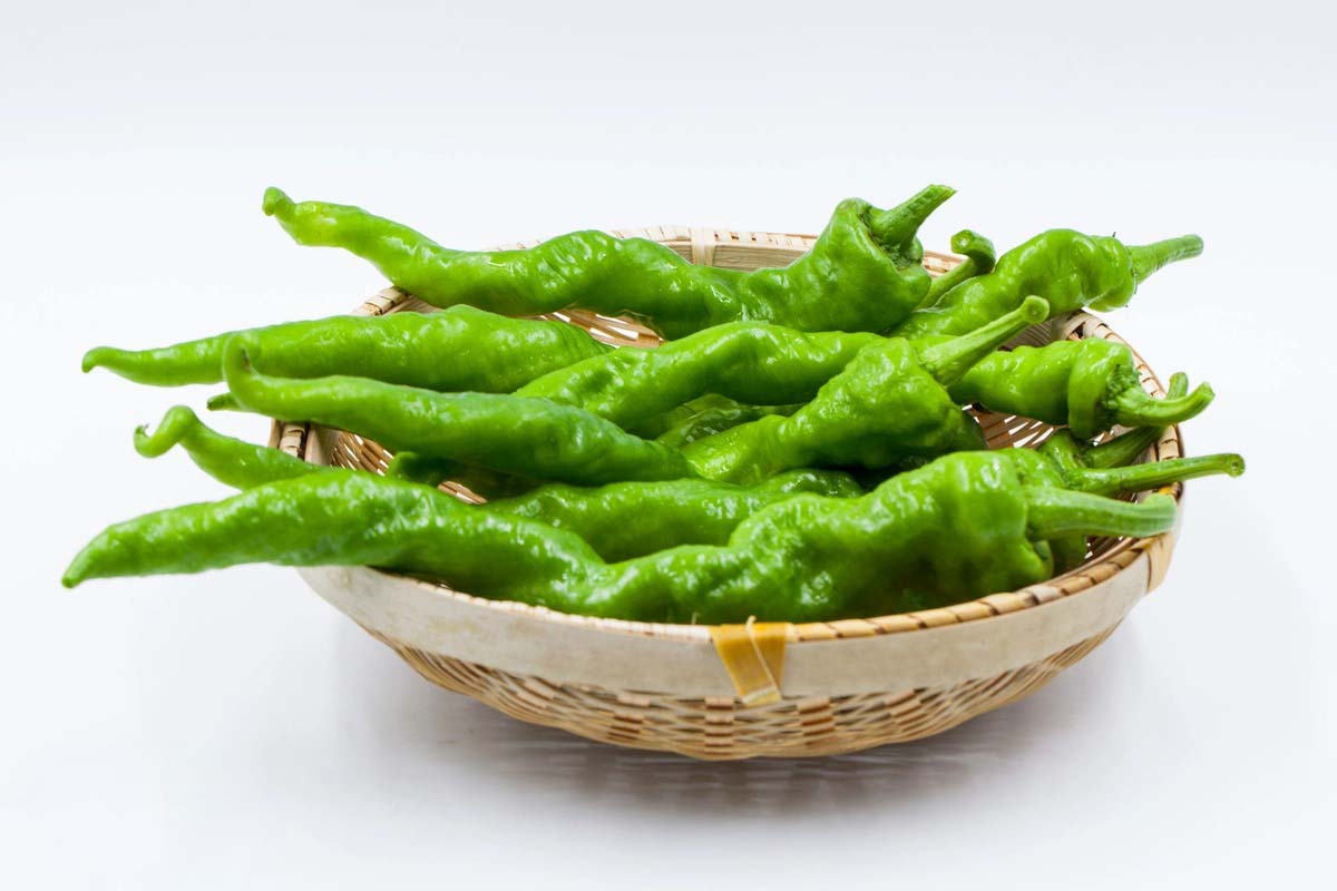 螺丝椒